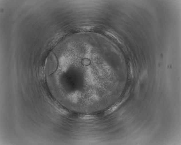 X0000076070467200610152232