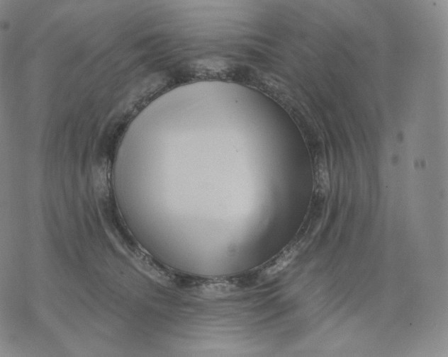 X0000076070468200610152232