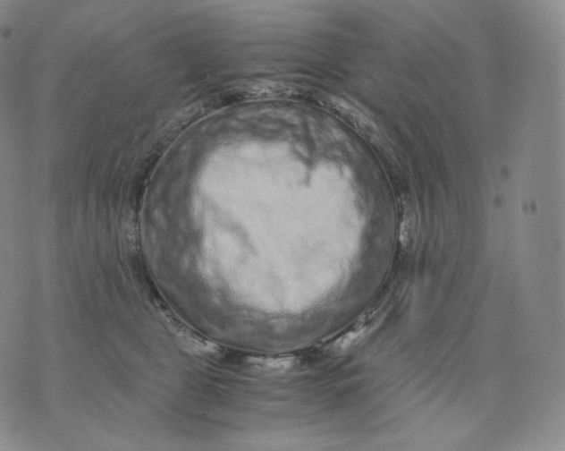 X0000076070469200610152232