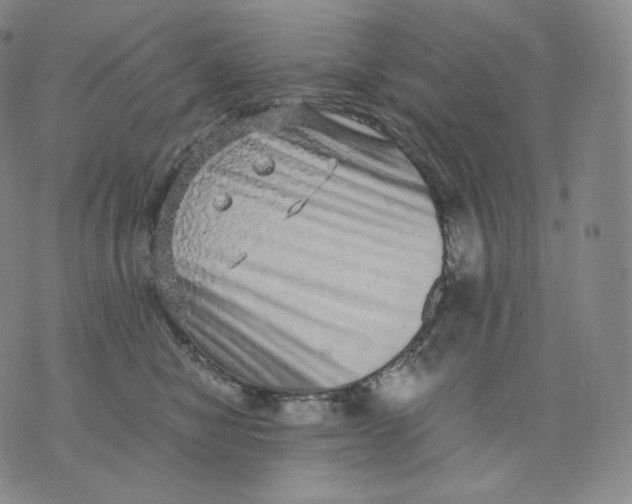 X0000076070470200610152232