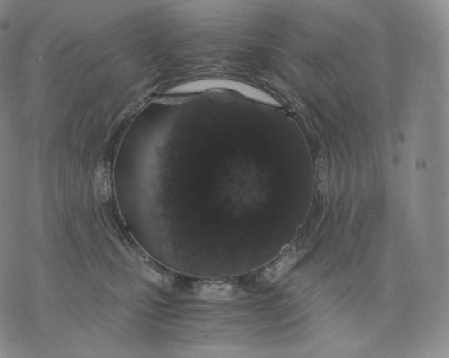 X0000076070471200610152232