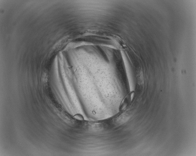 X0000076070472200610152232