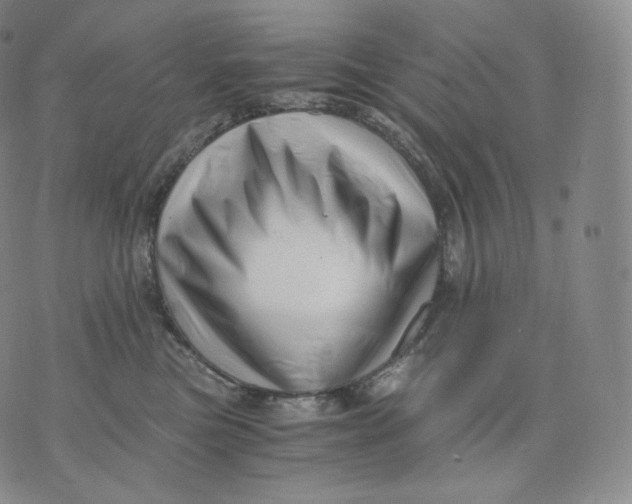 X0000076070473200610152232