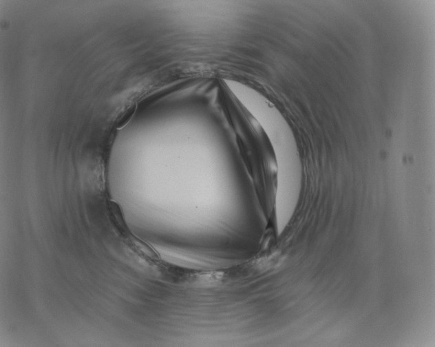 X0000076070474200610152232