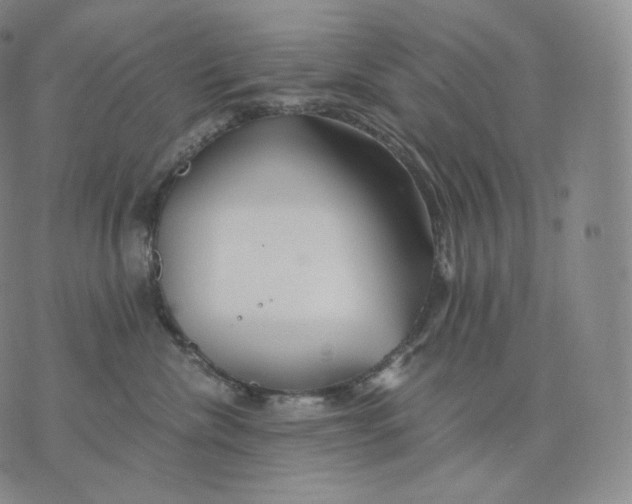 X0000076070476200610152232