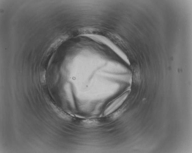 X0000076070477200610152232