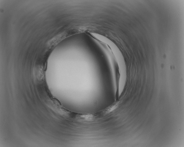 X0000076070478200610152232