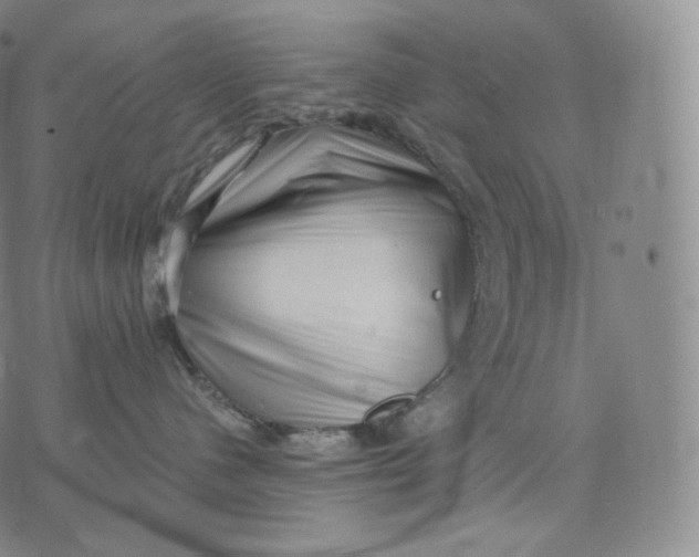 X0000076070480200610152232