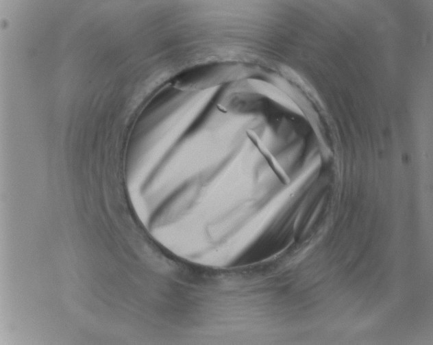 X0000076070481200610152231