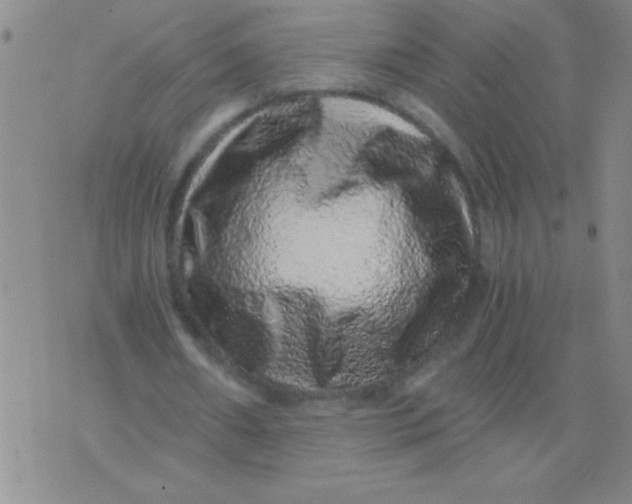 X0000076070482200610152231