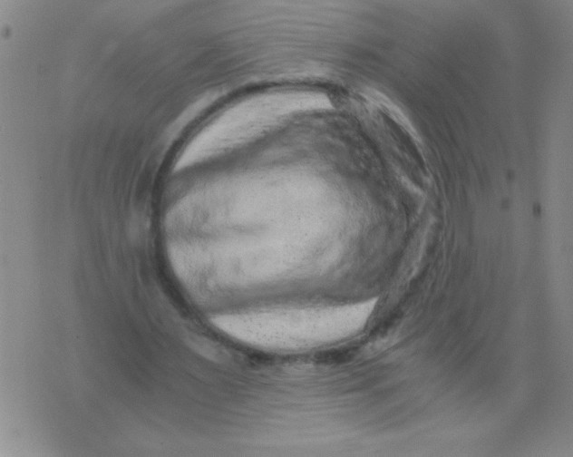 X0000076070483200610152231