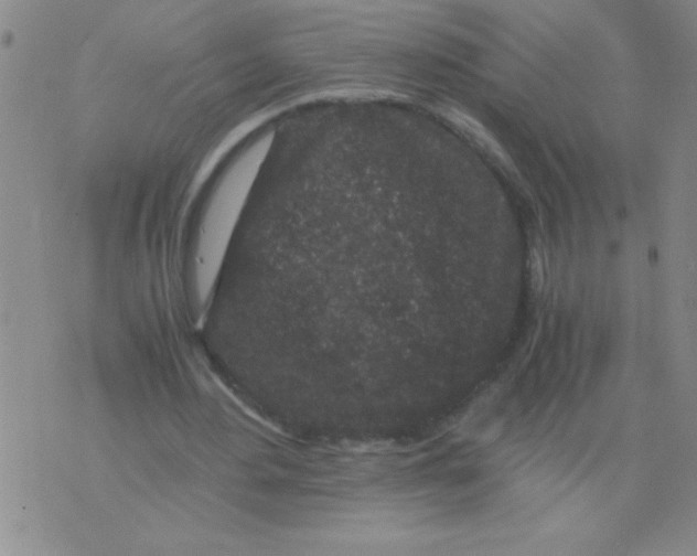 X0000076070484200610152231