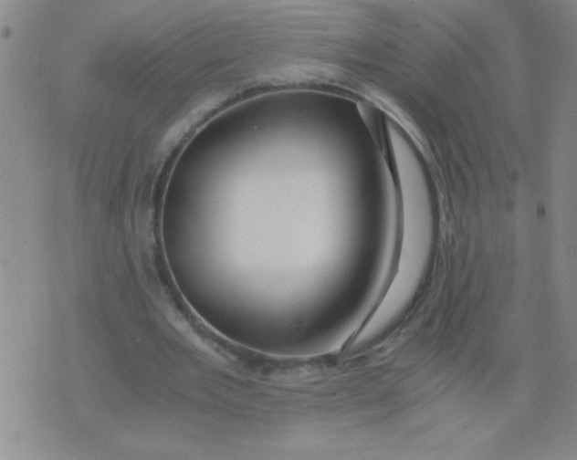 X0000076070485200610152231