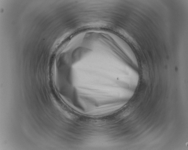 X0000076070486200610152231