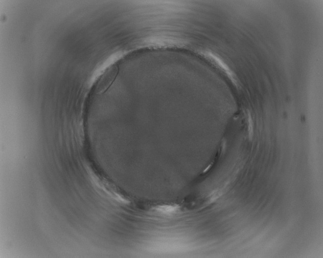 X0000076070488200610152231