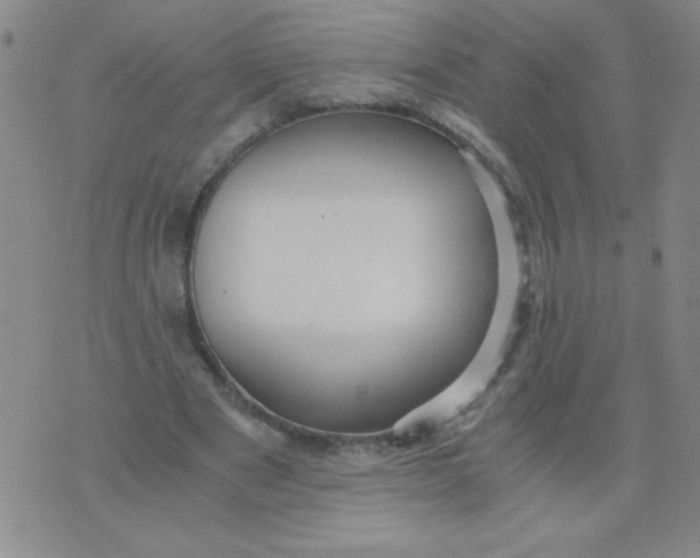 X0000076070489200610152231