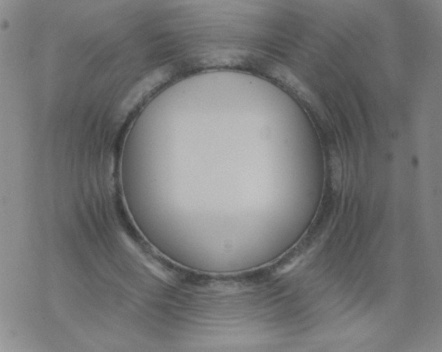 X0000076070490200610152231