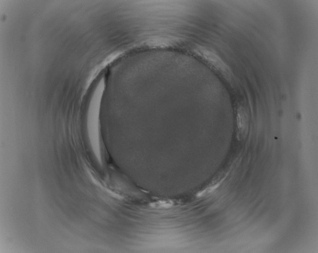 X0000076070492200610152231