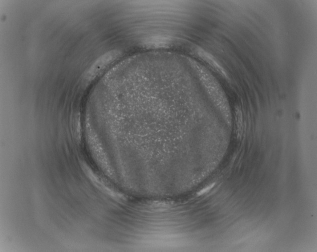 X0000076070494200610152231