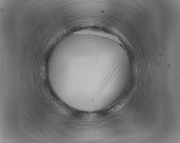 X0000076070497200610152231