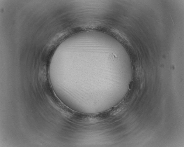 X0000076070498200610152231