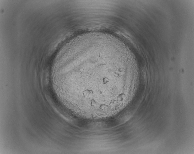 X0000076070499200610152231