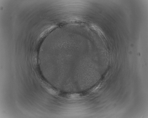 X0000076070501200610152231