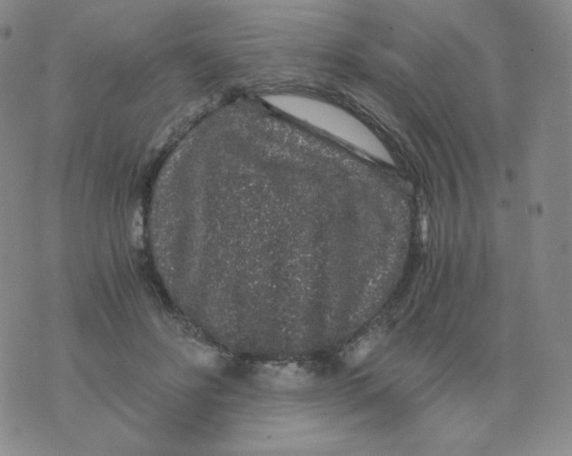 X0000076070502200610152231