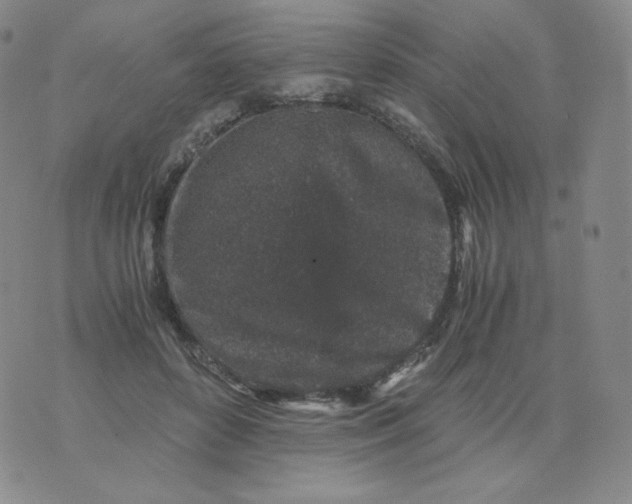 X0000076070504200610152231