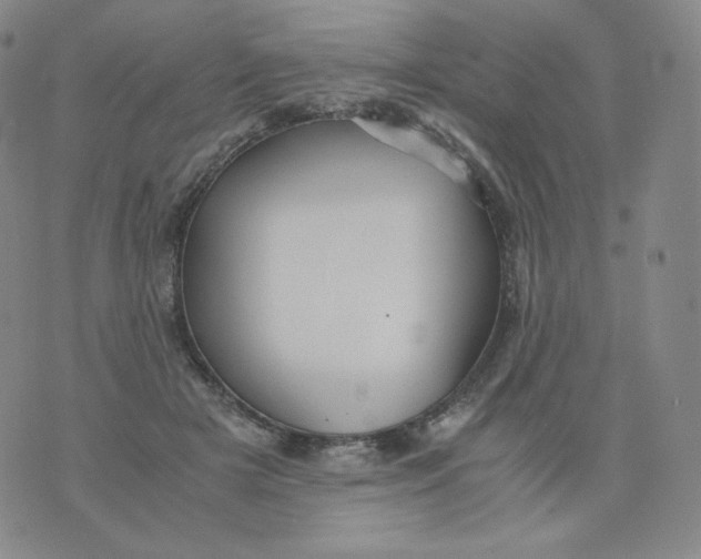 X0000076070505200610152231