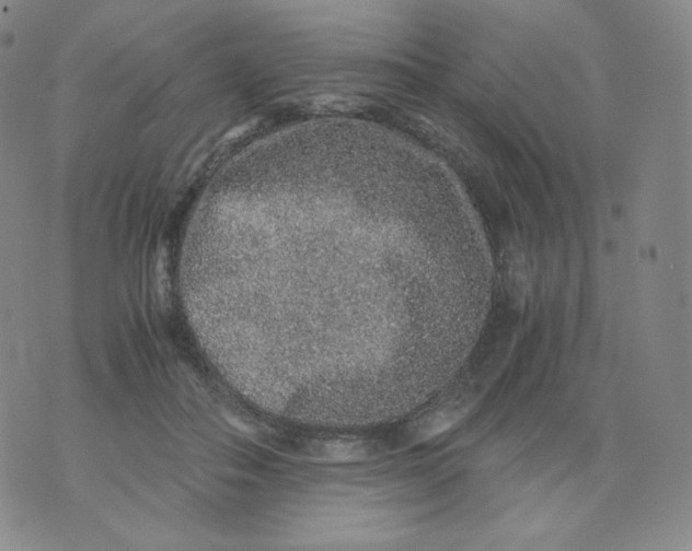 X0000076070506200610152231