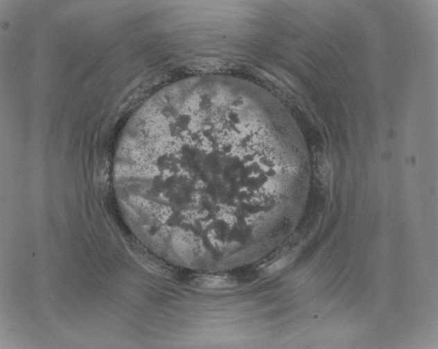 X0000076070507200610152231