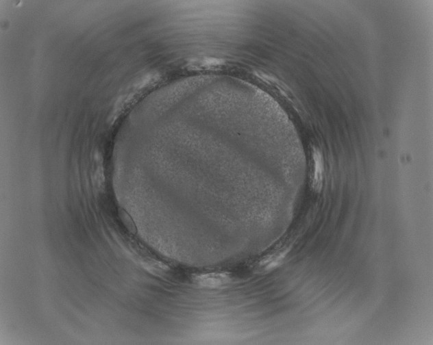 X0000076070508200610152231