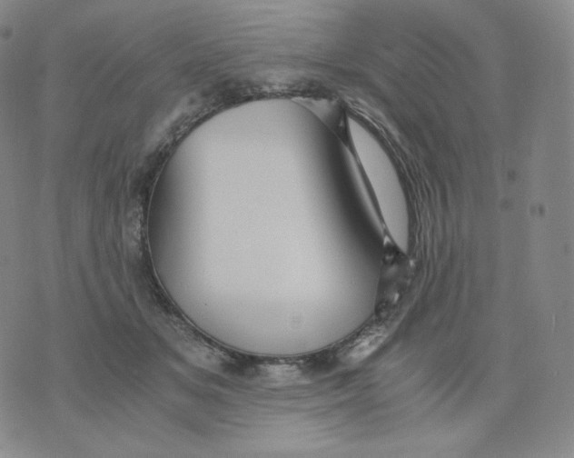 X0000076070509200610152231