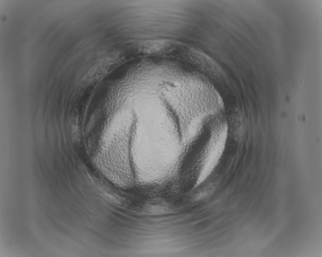 X0000076070510200610152231