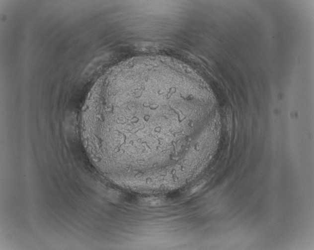 X0000076070511200610152231