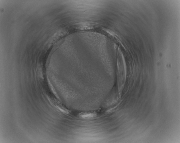 X0000076070512200610152231