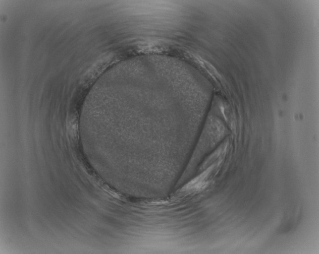 X0000076070513200610152231