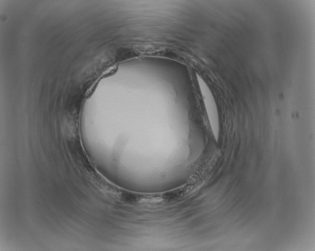 X0000076070515200610152231