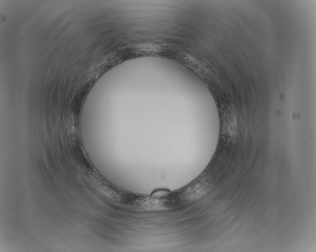 X0000076070518200610152231