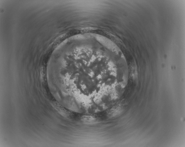 X0000076070519200610152231