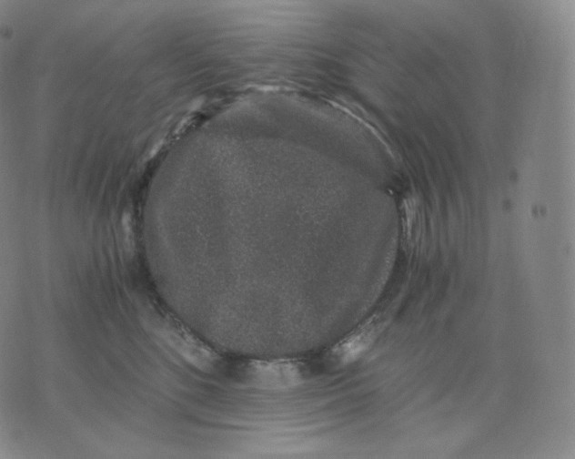 X0000076070520200610152231