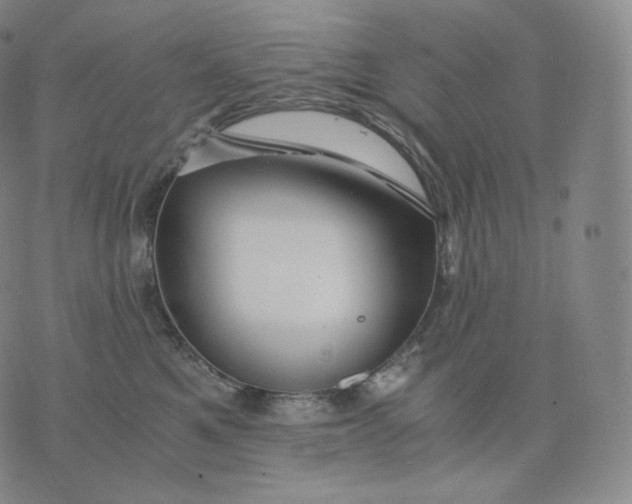 X0000076070521200610152231