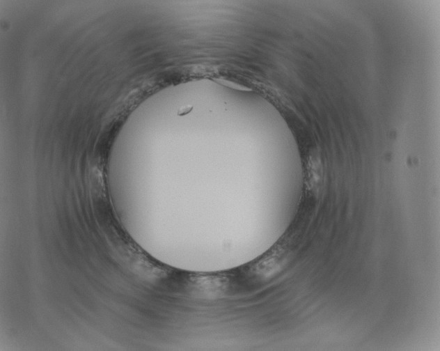 X0000076070522200610152231