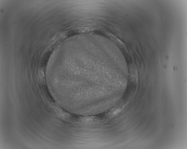 X0000076070523200610152231