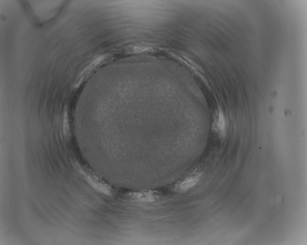 X0000076070524200610152231