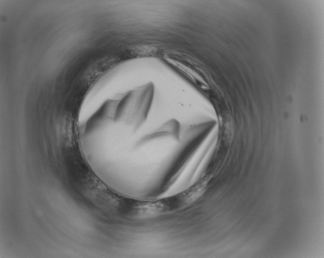 X0000076070525200610152231