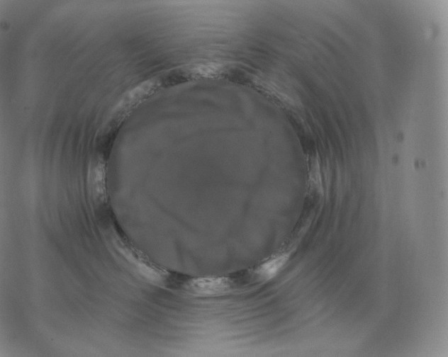 X0000076070526200610152231