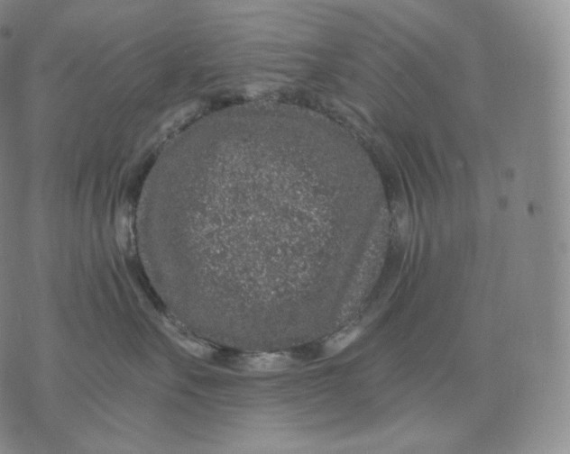 X0000076070527200610152231