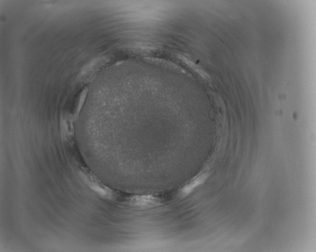 X0000076070528200610152231